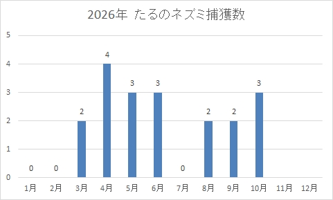 たるのネズミ捕獲数_2026