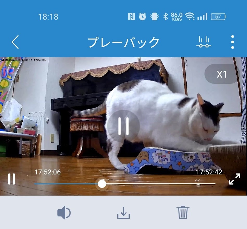 ねこカメラ_室内
